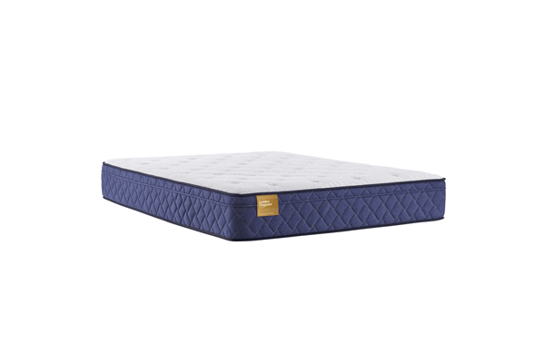Order our queen Sealy plush Euro top mattress Save on Mattresses