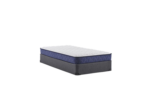 Sealy Brand Mattress Queen Size - Save on Mattresses Outlet 
