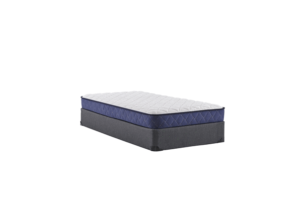 Order our queen firm mattress by Sealy today Free local delivery