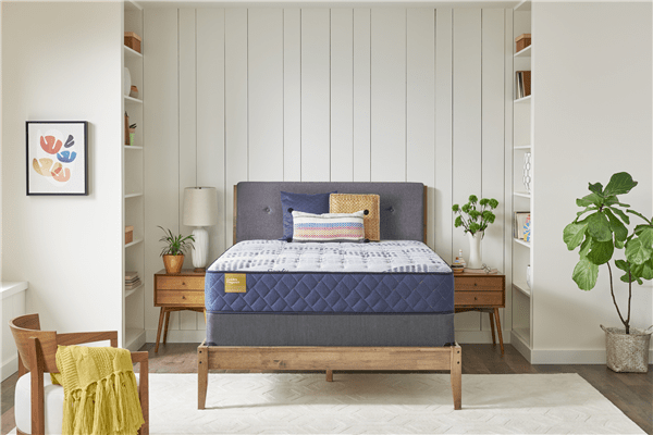 Order our queen cushion firm mattress by sealy Free local delivery