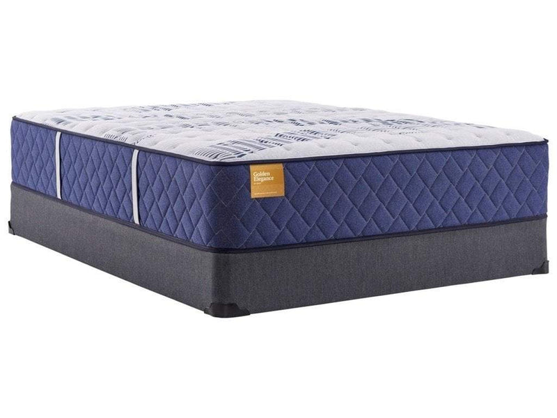 Sealy Firm 14.5 King Mattress - Save on Mattresses Outlet 